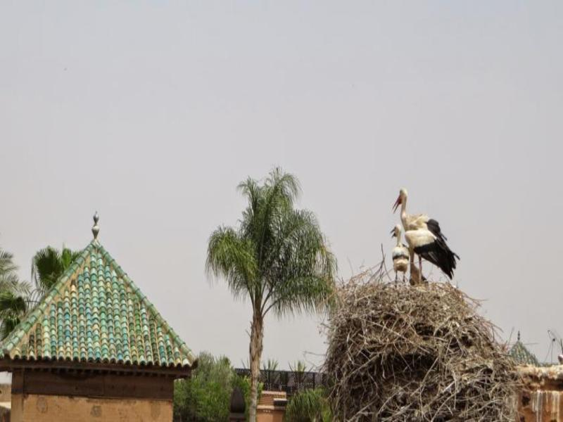 Riad Mirage Marrákes Kültér fotó